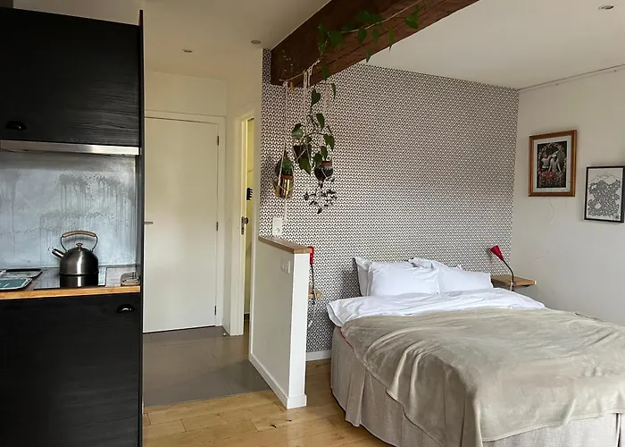 Cozy Studio-city Center Lägenhet *