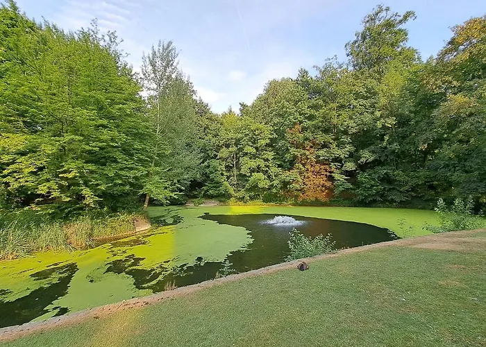 Bright And Cosy In *