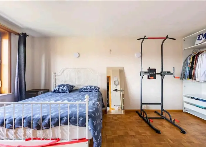 & Wellness Area Jacuzzi Sauna Massage Table Villa Bryssel