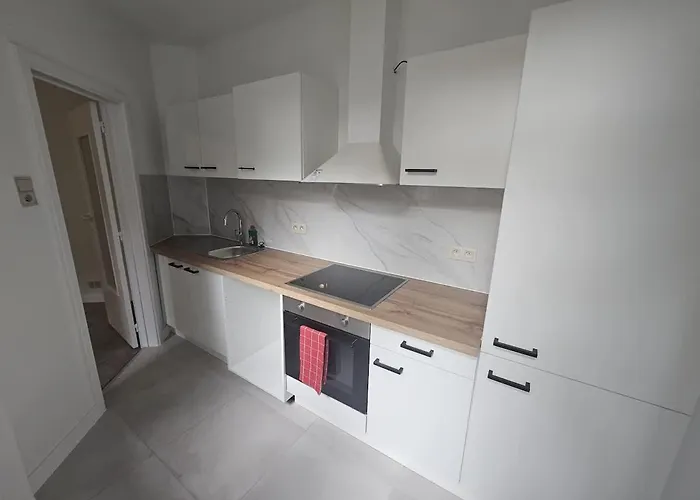 Lejlighed Cozy With Terrace Bruxelles