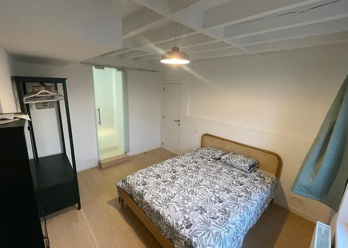 Triplex De Charme Avec Vue