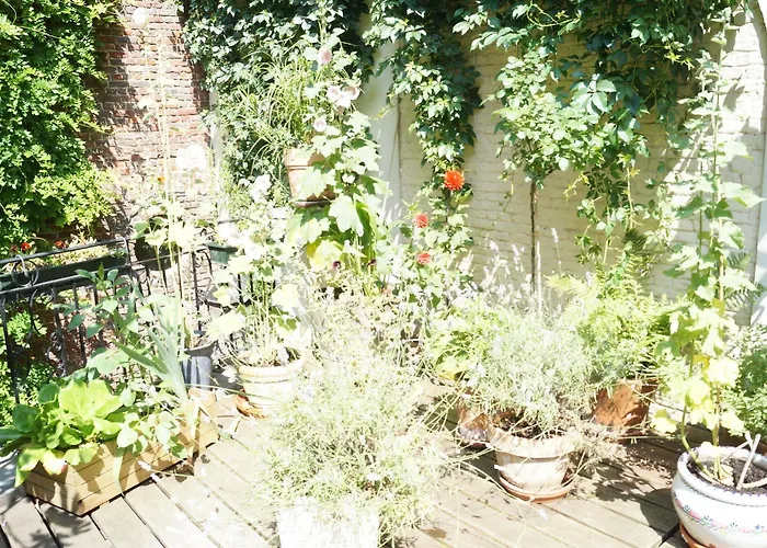 The Captaincy Otel 3*