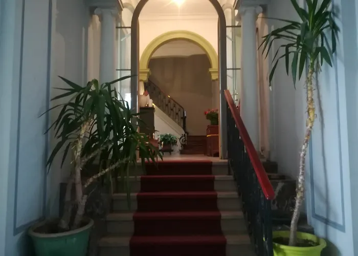 The Captaincy בריסל