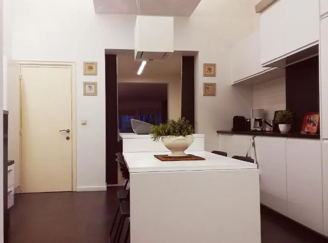 公寓 Brugmann Loft