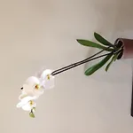 Easyway To Sleep