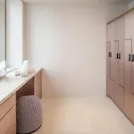 The 4*