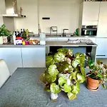 Appartamento Elegant Near Atomium Ideal For Families Bruxelles