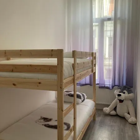 Dreamland Eu, * بروكسل