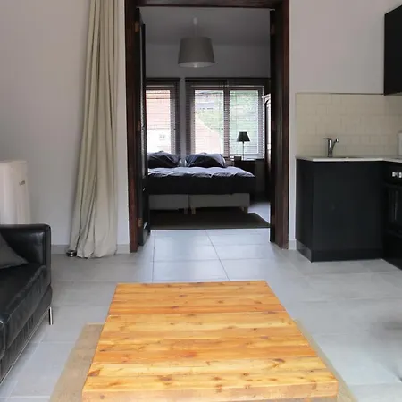 Downtown With Terrace بروكسل