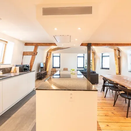 Spacious Modern Appartments In The Heart Of Apartman Brüsszel