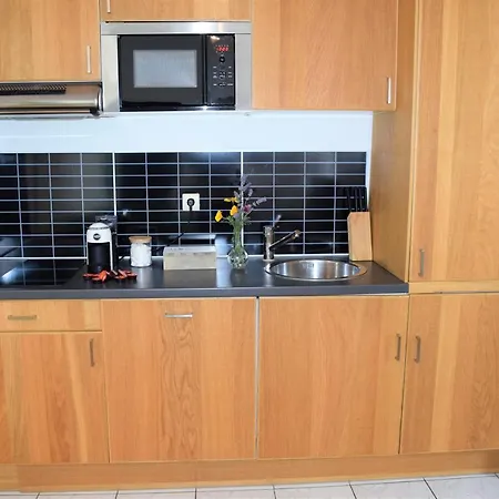 布鲁塞尔市中心舒适公寓 公寓