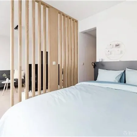Luxury Studio Avenue Louise In Center Of Appartement *