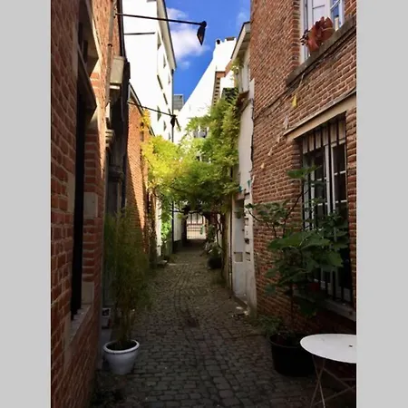 En Plein Coeur De Bruxelles. Superbe Duplex.a Voir!