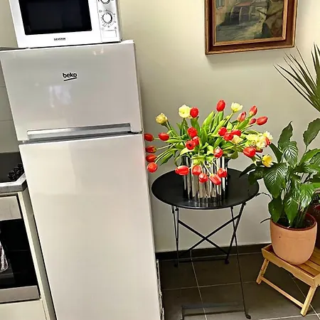Apartman Studio Lumineux Et Spacieux Au Coeur De Bruxelles Brüsszel