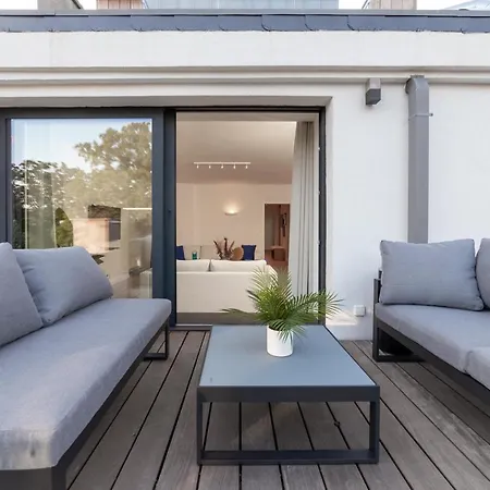 Sweett - Saint Bernard *