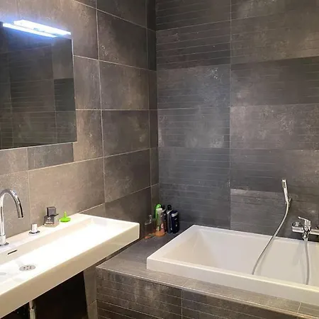 Large Convenient Flat In Central Brussels *