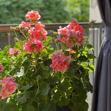 Moderne Centre De * Bruxelles