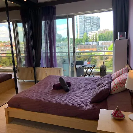 Homestay Proche Centre Ville Chez L'habitant Brussels