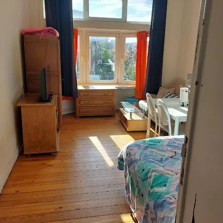 Rustic Rest 게스트하우스