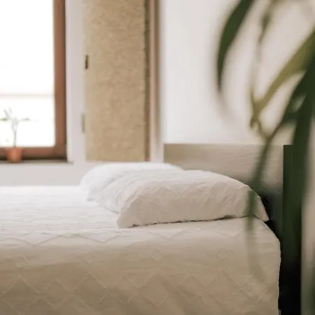 Cozy In Daire Brüksel