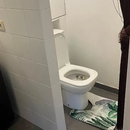 Duplex Tres Agreable Et Tres Calme Apartment