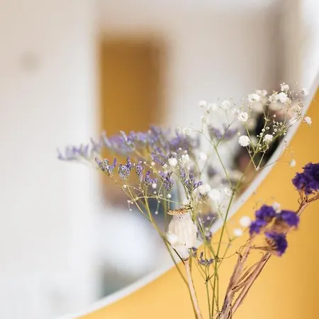 Bed and Breakfast La Senne