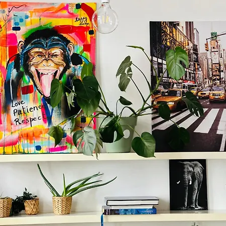 Down-town 1 Bedroom Flat Brussel