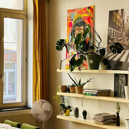 Down-town 1 Bedroom Flat *