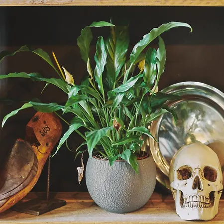 The Legacy By 2go4 Center