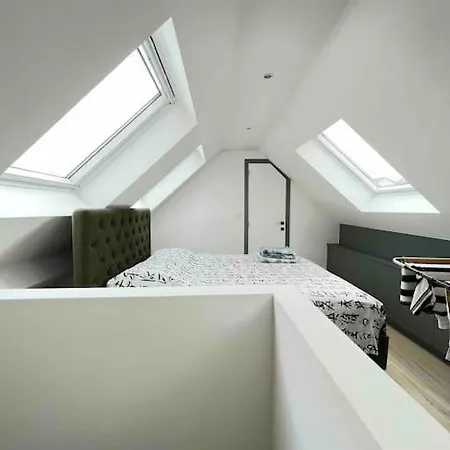 Duplex Avec Terrasse Quartier Europeen *