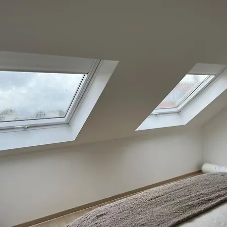 The Cosy House