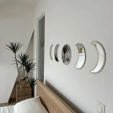 The Cosy House