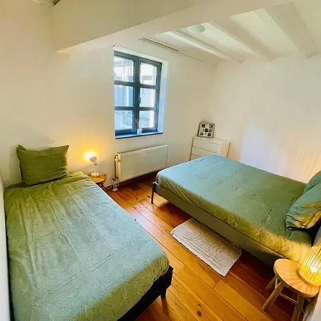 Down Town Oasis-spacious Loft With Private Parking Daire