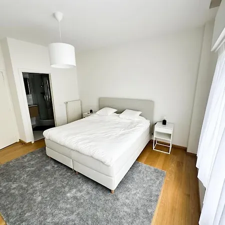Charming In Ixelles Appartement Bruxelles