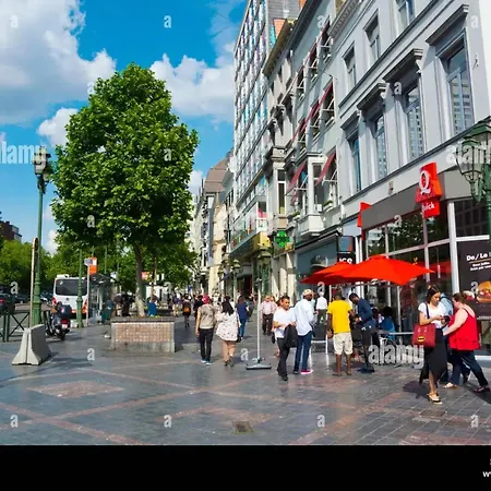 Charming In Ixelles 40 M² Private Parking Брюссель