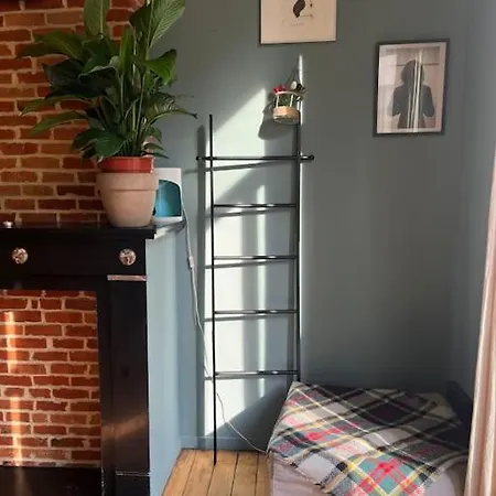 Nina's Place In The Center Daire