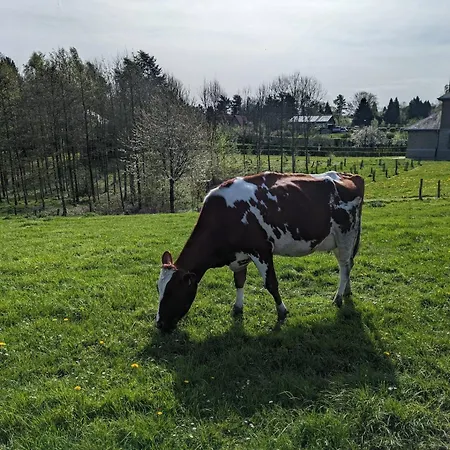 The Brussels-laken