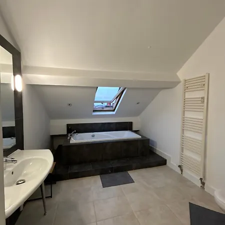 Chambre Prive A Louise Homestay Brussels