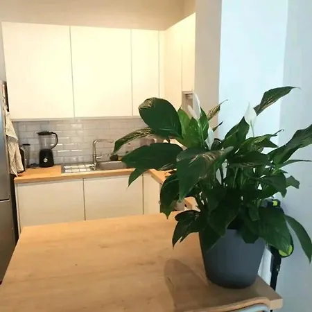 Beautiful 2 Bedroom In Place Flagey Bxl Апартаменты Брюссель