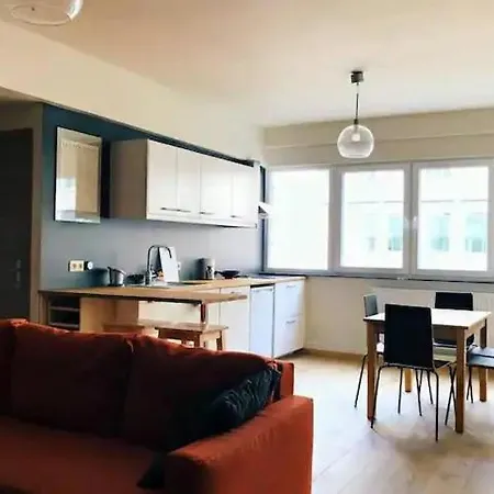 Entierement Renove Et Equipe De Deux Dans Le Quartier Schuman * ブリュッセル