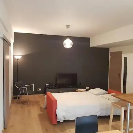 Entierement Renove Et Equipe De Deux Dans Le Quartier Schuman アパート ブリュッセル