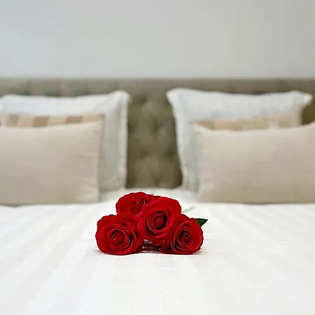 Sublime Calme Cosy & Jacuzzi