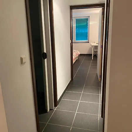 Fly Forest Rez Avant Guest house Brussels