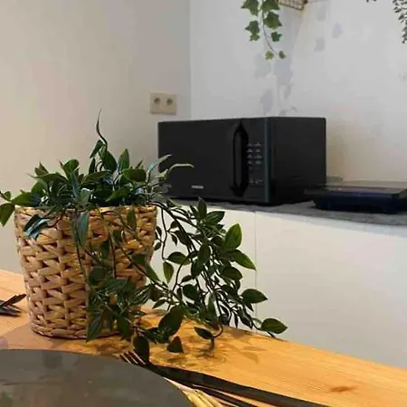 Superbe Full Equipe Avec Cour Exterieur *