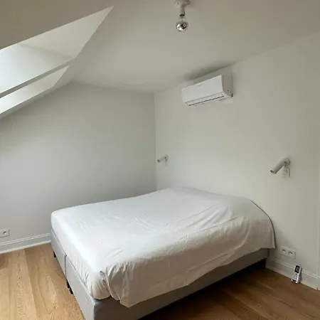 Charming Ixelles Retreat In The Heart Of Bruxelas