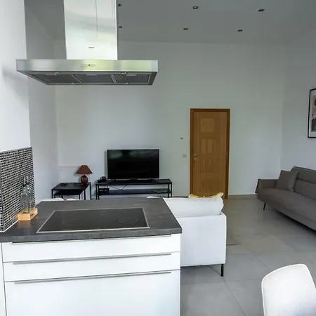 Cozy And Luxurious In Brussels, Laeken *