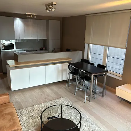 Comfortable Two Bedroom In Center بروكسل