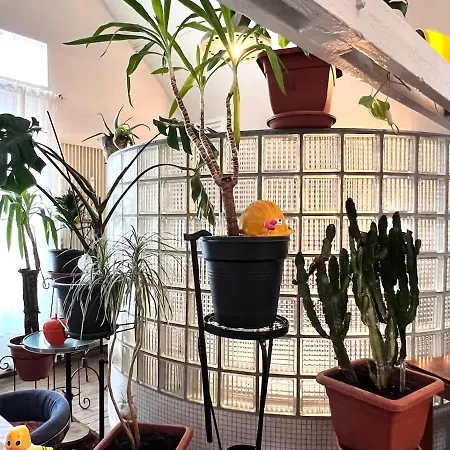 Apartment Loft Atelier Au Style Vintage