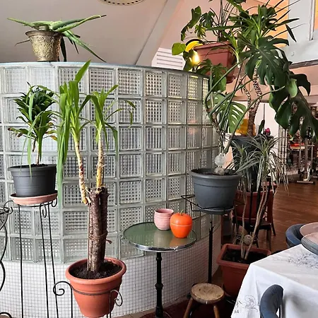 Loft Atelier Au Style Vintage Brussels