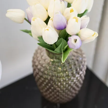 Lejlighed In The Hyper-center *